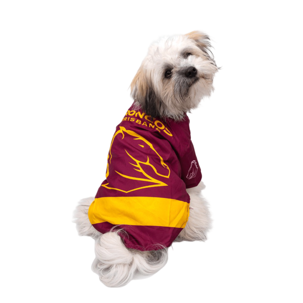 The Stubby Club NRL Brisbane Broncos Pet Jersey – X Small