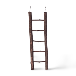 Trixie Natwood Ladder For Budgie - each