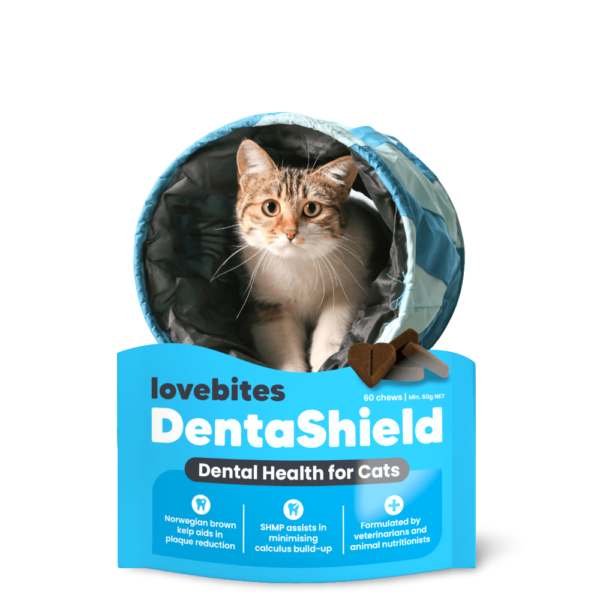 Vetafarm Lovebites Cat Dentashield Chews – 60 Chews