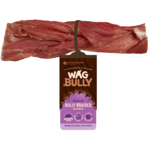 Wag Dog Treats Braided Bully Stick Regular - 1 Chew