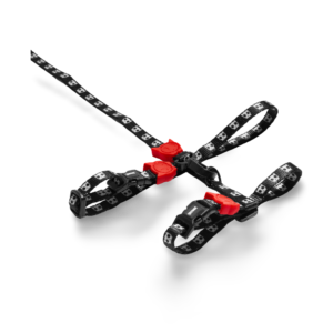 Zee Cat Cat Harness & Lead Set in Skull Black & Red - One Size