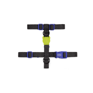 Zee Dog H Dog Harness in Nox Black - Medium
