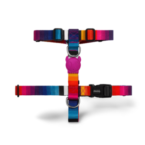 Zee Dog H Dog Harness in Prisma Rainbow - Small