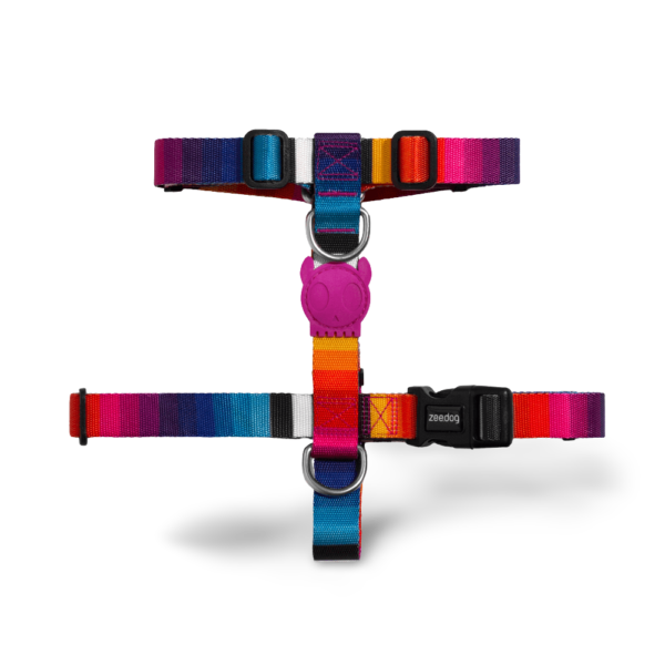 Zee Dog H Dog Harness in Prisma Rainbow