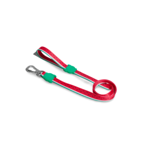 Zee Dog Super Hook Dog Lead in Lola Watermelon - Small