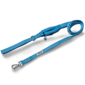 Ziippup Blue Dog Lead with Poo Bag Holder - One Size