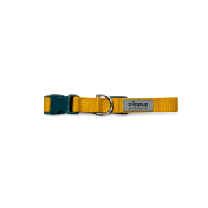 Ziippup Recycled Dog Collar in Yellow - Medium